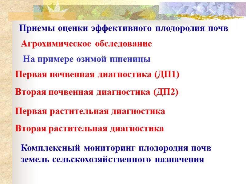 Приемы оценки эффективного плодородия почв Первая почвенная диагностика (ДП1) Вторая почвенная диагностика (ДП2) Первая